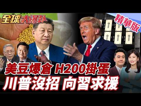 川普有求於習近平!美大豆慘了?!習川會前美農產求援北京!輝達H200中國銷售掛零!中美晶片戰持續升溫!【#全球大爆卦】精華版