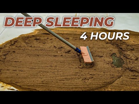 4 Hours Of Carpet Cleaning Helps You Sleep Well - Reduce Stress - ASMR Cleaning - For Deep Sleep