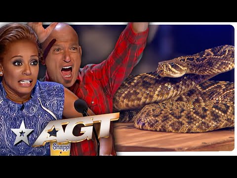 SHOCKING Snake Audition TERRIFIES The Judges on America's Got Talent!
