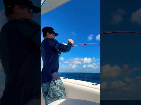 My jig didn’t even make it to the bottom! #shorts #fishing #fish #outdoors #beautiful