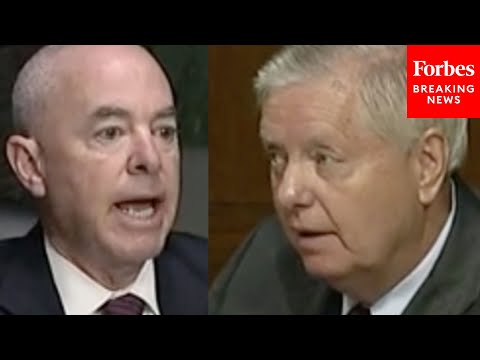 'You Do Know You're Under Oath': Lindsey Graham Grills Mayorkas On Afghan Refugee Vetting
