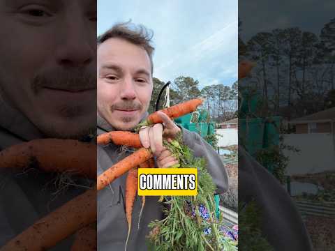 Help us decide what a “meal” is!