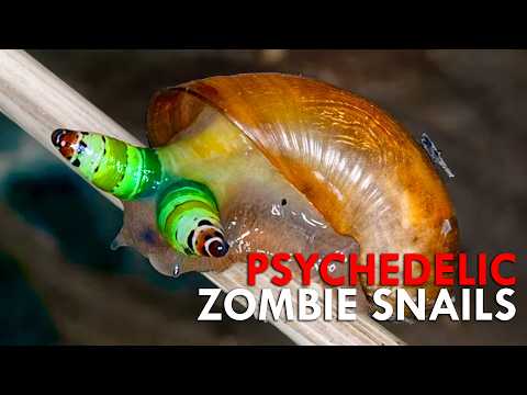 These Worms Turn Snails Into Disco Zombies