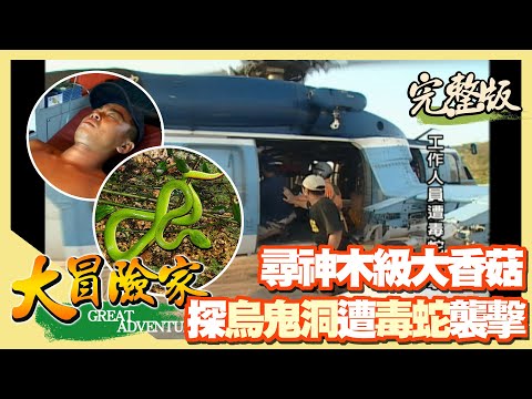 【大冒險家】探勘烏鬼洞 遇毒蛇襲擊出動海鷗直升機（台灣狐蝠／梅花鹿／神木級海底大香菇／番仔洞）│2001.09.24│95集完整版