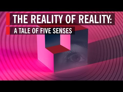 The Reality of Reality: A Tale of Five Senses