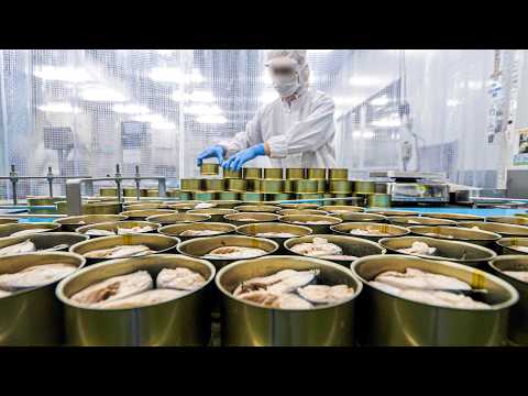 Mass production of mackerel Fish Can in Japan.