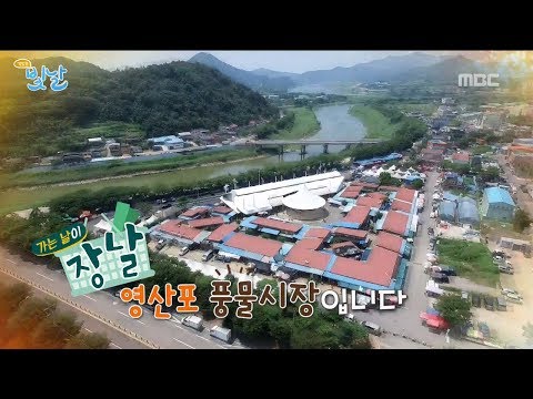 #영산포 풍물시장 ; #생방송빛날 / Naju Yeongsanpo market [골목은 맛있다]