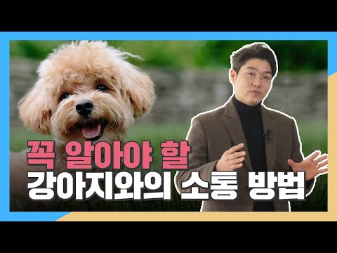 강아지를 키운다면 꼭 알아야 할 소통 방법 - 설채현 수의사