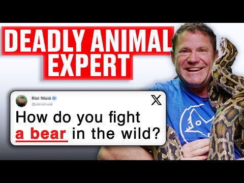 Which Snake Could Crush A Human? Steve Backshall Answers Your Questions | Honesty Box