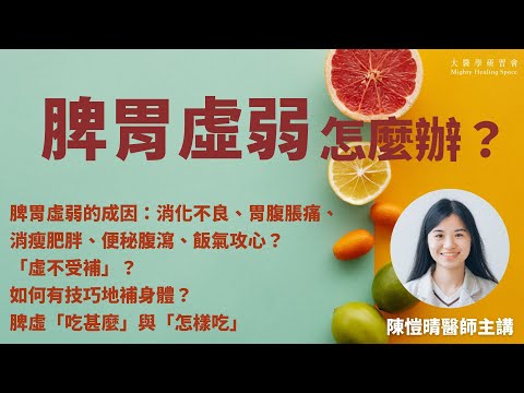 【脾胃虛弱怎麼辦？】消化不良、胃腹脹痛、消瘦肥胖、便秘腹瀉、飯氣攻心？虛不受補？如何有技巧地補身體？脾虛「吃甚麼」與「怎樣吃」｜陳愷晴醫師  [足本重溫]