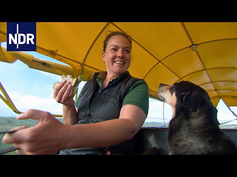 Ostfriesische Inseln: Mit Herzblut durch die Hochsaison | die nordstory | NDR Doku