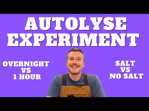 Is Overnight Autolyse the Key to the Best Sourdough? | Baking Experiment
