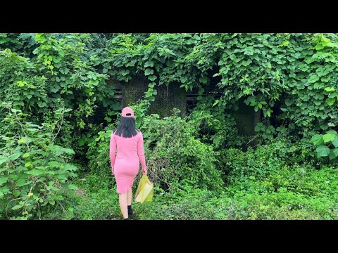 The scary house was covered with weeds, the girl had no way to get into the house