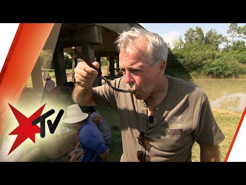 Traumfrau in Thailand (6): Hanjo beim Thai-Picknick | stern TV (2012)