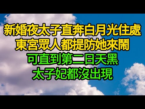 新婚夜太子直奔白月光住處，東宮眾人都提防她來鬧，可直到第二日天黑太子妃都沒出現