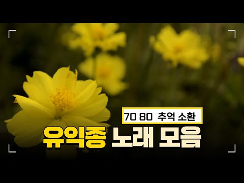 2025년 12월 9일