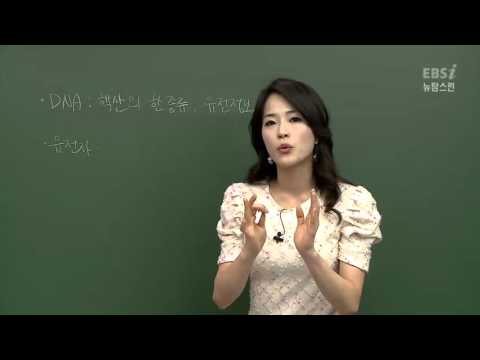 [뉴탐스런 생명과학 I] 11강 염색체와 유전 물질