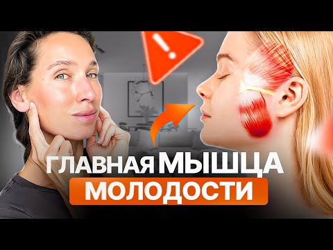Поплывший овал лица, БРЫЛИ, НАВИСШЕЕ ВЕКО и ПТОЗ | Из-за ЭТОЙ мышцы лицо ползёт вниз