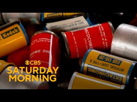 Remarkable collections and discoveries