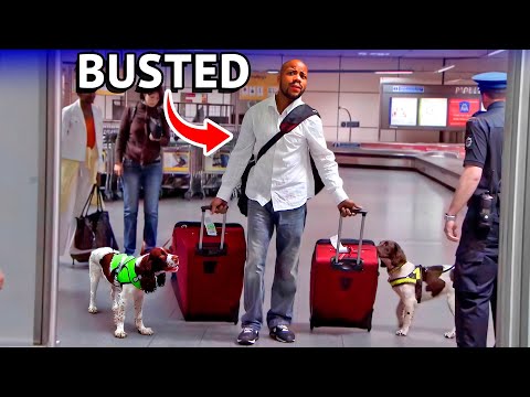 Airport Sniffer Dogs EXPOSE Every Dr*g Smuggler!