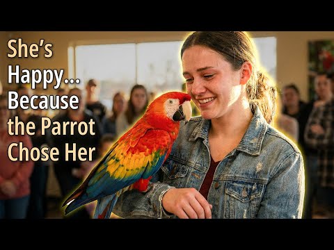 When Parrots Choose Their Humans – Beautiful Parrot Moments