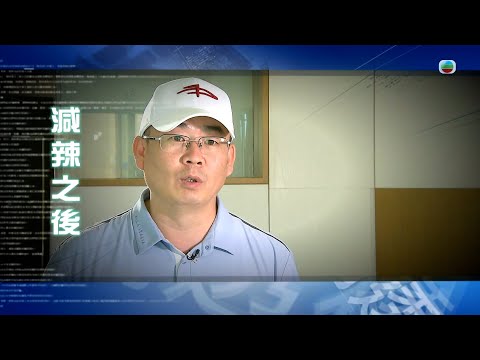TVB新聞透視 ｜減辣之後 (繁／簡字幕)｜無綫新聞 TVB News