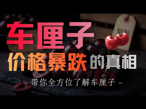 “车厘子自由”真的实现了吗?|生物|播客|原来是这样