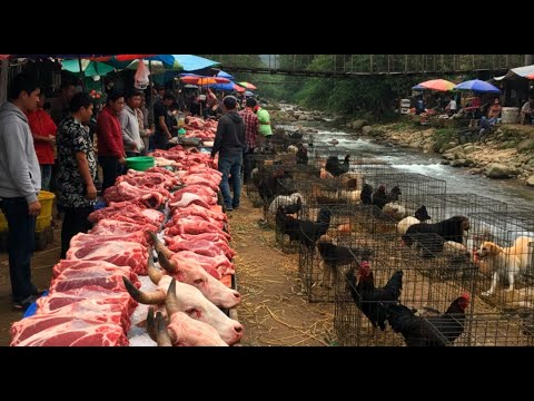 Exploring the market fair that sells the most beef in Vietnam