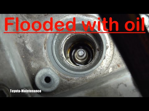 Spark plugs flooded with oil