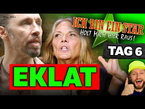 EKALT des JAHRES 💥 ANWALT BEWEIST: So DREIST lügt GIL OFARIM?! DSCHUNGELCAMP 2026 Tag 6