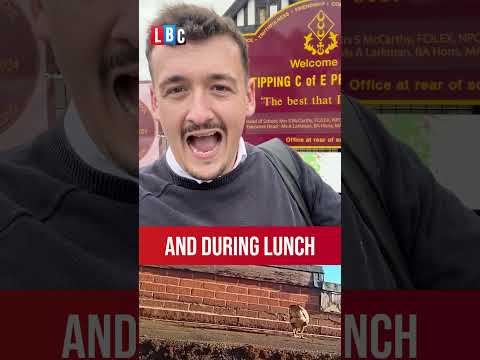 Dive-bombing bird terrorises village residents | LBC