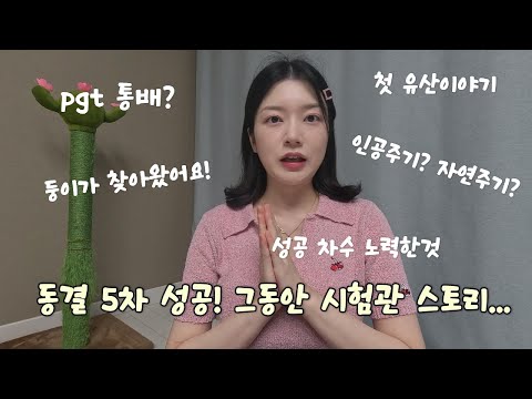 #시험관성공 | 동결 5차! | 이식 준비 루틴 ! | 그동안 시험관 스토리 | 둥이가 찾아왔어요