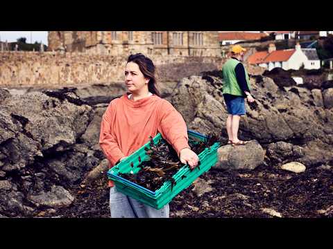 How this coastal brewery turns foraged seaweed into seasonal beer | Country Living UK