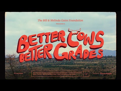 Better Cows, Better Grades | Partners of Human Potential