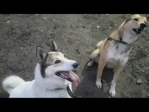 Дельта в гостях у товарища