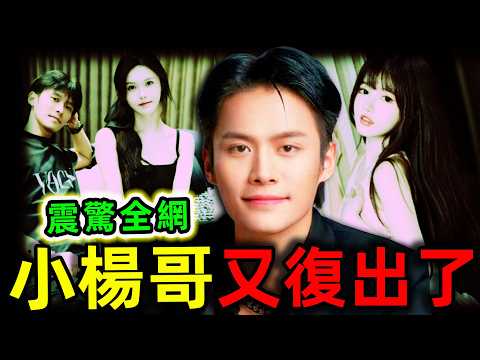 中國網紅最可怕的8個恐怖秘密！“瘋狂小楊哥”再次復出？500萬女主播被潛坐牢！一口氣看完三隻羊事件最新真相。|#世界之最top #世界之最 #環球之最 #腦洞大開 #top10 #小楊哥 #驚人秘密