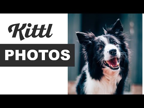 3 Tips for Using Photos in Kittl to Maximize Your Print-On-Demand Potential
