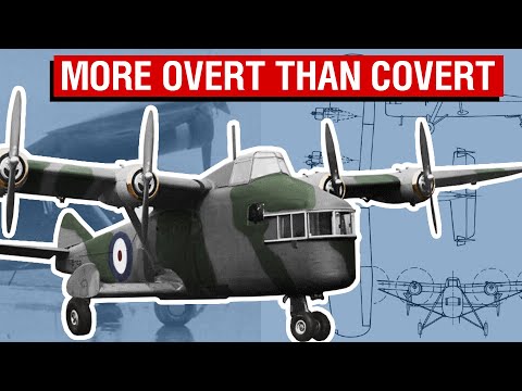 The Least Stealthy 'Stealth' Planes Ever Built | The 'Fleet Shadowers' [Aircraft Overview #70]