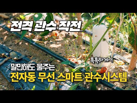 Creating a smart irrigation system that operates just by speaking