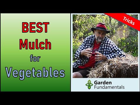 Best Mulch for Vegetable Gardens - And How To Apply It Correctly.