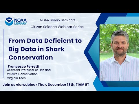 From Data Deficient to Big Data in Shark Conservation