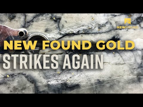 New Found Gold Strikes Again