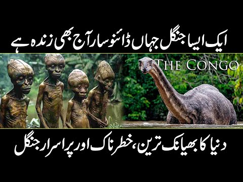 Congo Rainforest Documentry In Urdu | Congo Rainforest Mysteries