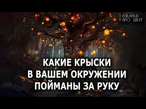 КАКИЕ КРЫСКИ ПОЙМАНЫ ЗА РУКУ 🔥 расклад таро