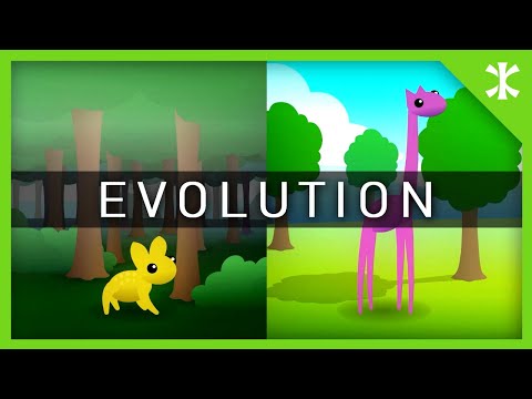 Evolution Explained