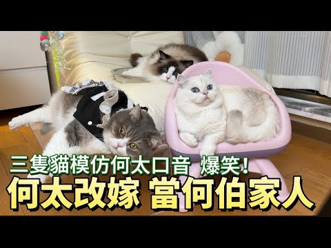 何太改嫁！稱會把何伯當家人對待！回應平哥哥支持心存感激！美國佬是否真實存在惹爭議🤣三隻貓模仿何太口音：太難了，疲憊！林冬瓜快瞓著！哈哈哈三隻可愛嘅傻貓😘