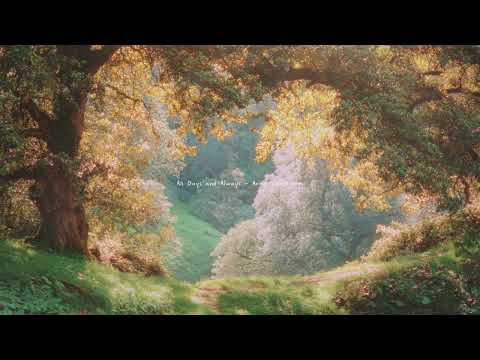 a dreamy piano playlist for autumn, tea and reading