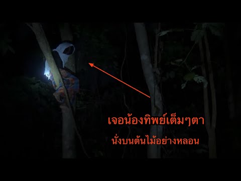 "I came to see Nong Thip late at night. I heard someone with bad intentions was going to her grav...