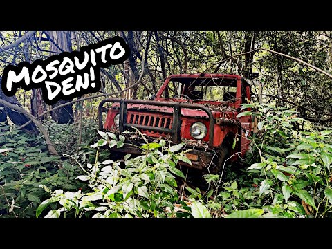 Will it START and DRIVE out of this Vine Forest? Old Suzuki Truck