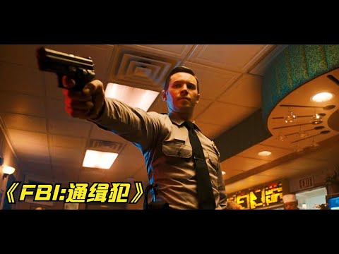 一口气看完《联邦犯罪调查》S4全集，一集一个大案贼过瘾，英勇警探屡破奇案悬案！